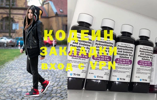 шишки Верея