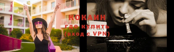 шишки Верея