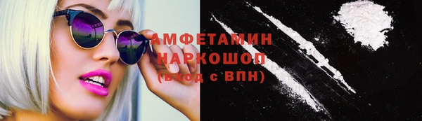 шишки Верея