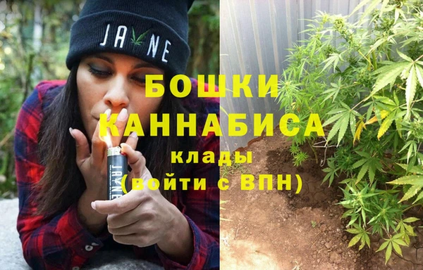 твердый Верхний Тагил