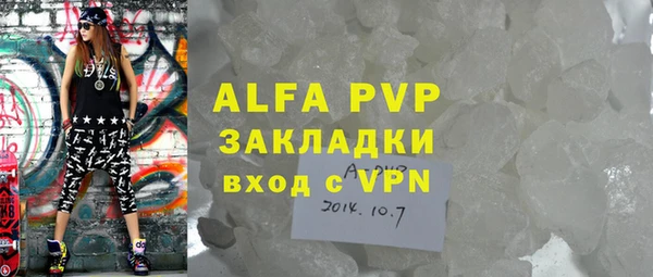 шишки Верея